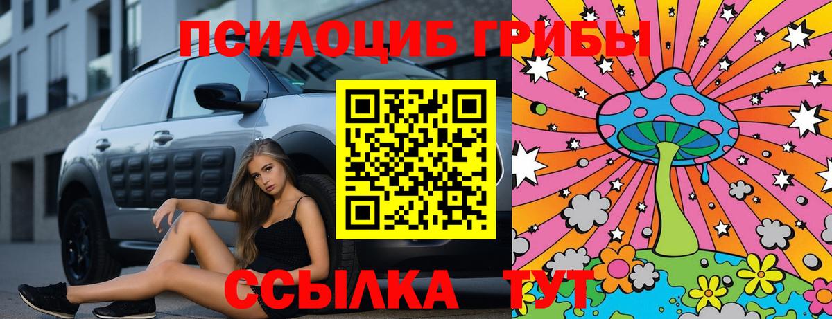 Нижнекамск  Галлюциногенные грибы Magic Shrooms  Вход с VPN 