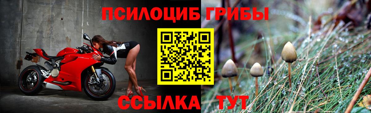 Галлюциногенные грибы Cubensis Нижнекамск